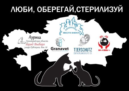 tshirts hinten kasachstan be schw